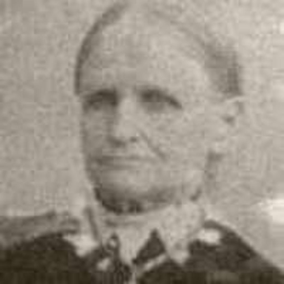 Caroline Ann Pickles (1828 - 1905) Profile
